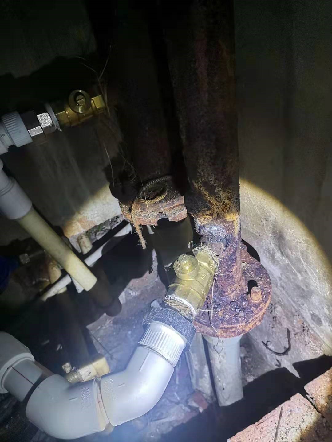 1628729955776320.jpg 002.jpg